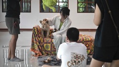 Coffee with Lion Cubs, Dare to Try?