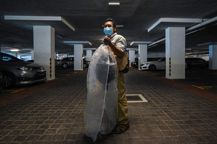 Malaysian Rescue Group Gives Urban Bees a New Home_fororder_6d74d0c1c678442e8bb91497a00507be.2048x1362.760x2147483647