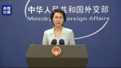 中方制裁菲律宾一前参议员 外交部：损害中国利益必然要付出代价_fororder_IMG_2767