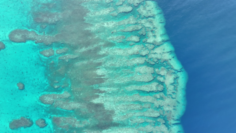 建立黄岩岛国家级自然保护区，中国再推南海治理新举措_fororder_0cd0be08709442d19d96c313db975058.704x392