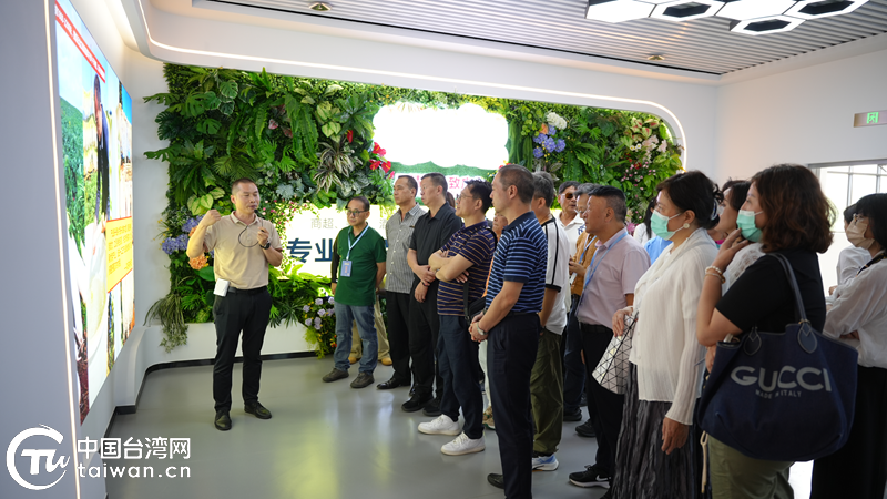 台商话玉溪：高原农业“种草”现场 两岸经贸“致富”密码