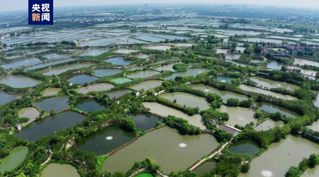 人与自然和谐共生 《记住乡愁》国际版即将播出