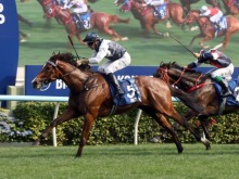 香港赛马打吡大赛“白鹭金刚”夺冠 观众人数创新高