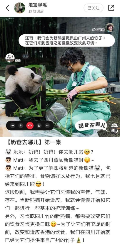 百闻不如一见｜5个关键词揭秘大熊猫赴港全流程