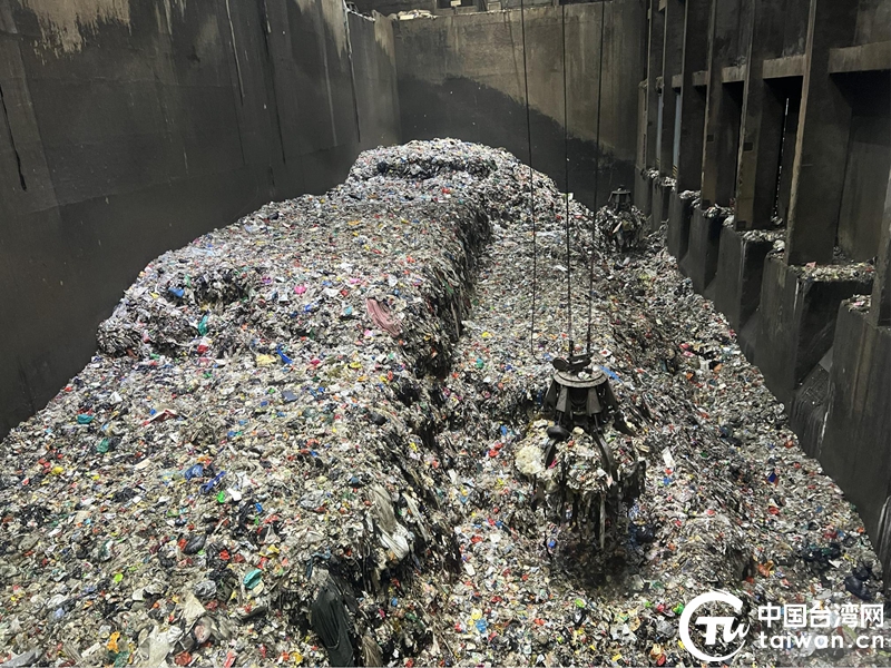 台湾青年走进广州，探寻科创与生态的融合密码