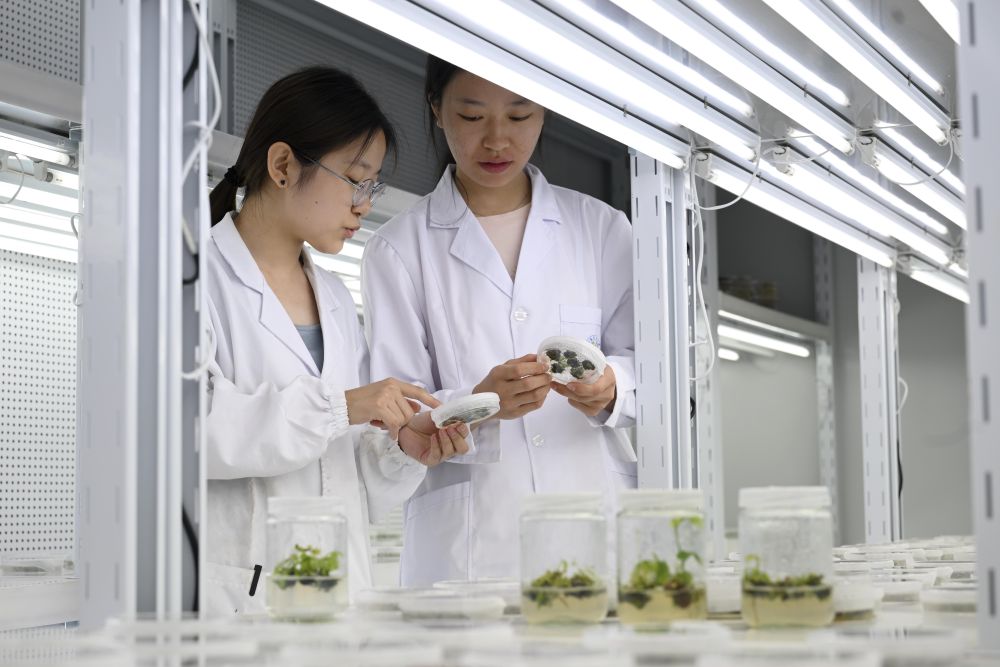 筑牢发展安全根基 守住风险防控底线——解码中国经济稳健前行的底气