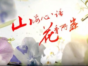 云南首部两岸花卉文旅微短剧《山海心语 花香两岸》（第二集）