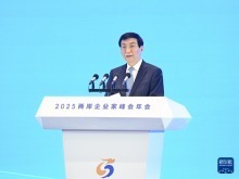 2025两岸企业家峰会年会在南京举行 王沪宁出席开幕式并致辞