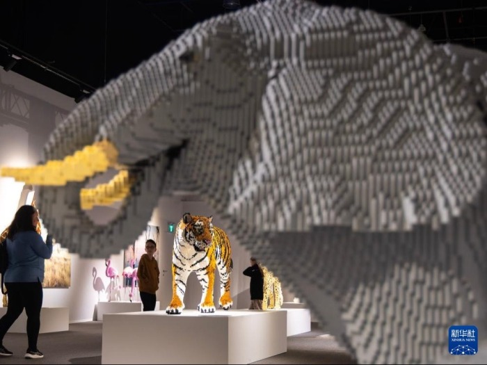 乐高积木艺术作品展亮相多伦多