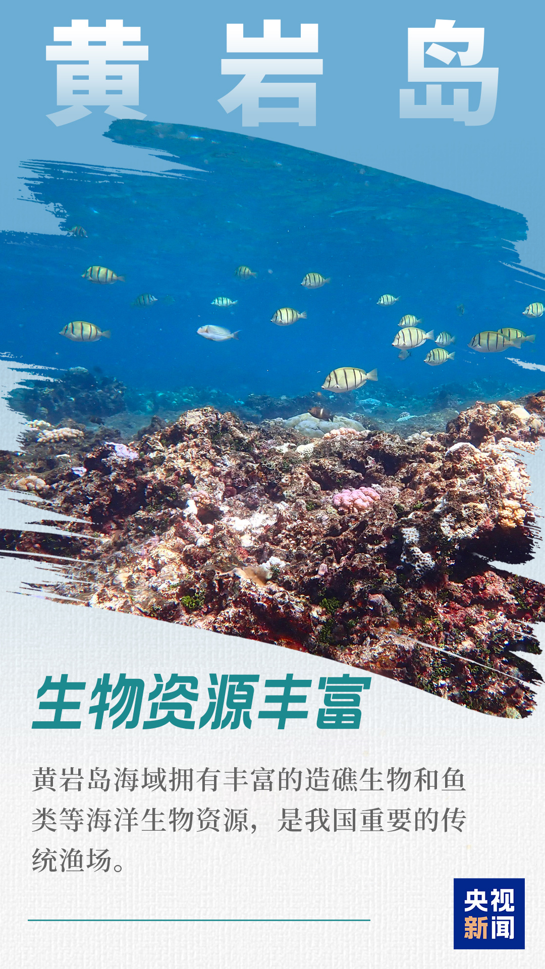 颜值实力并存！空中、水下沉浸式看黄岩岛