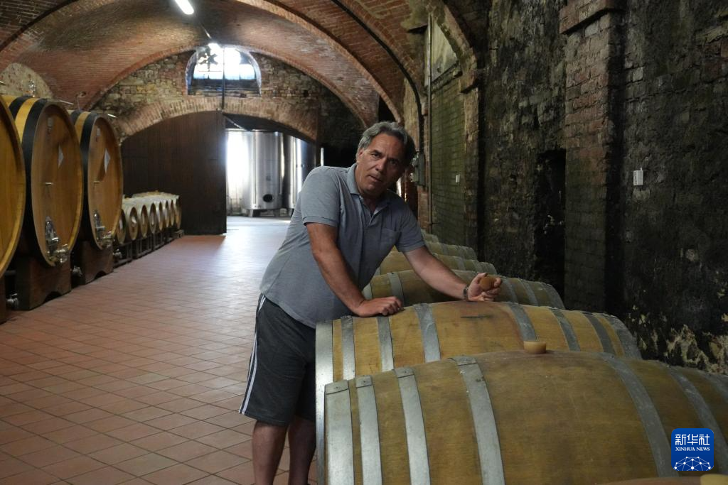 葡萄满枝头 焦虑压心头——探访美关税冲击下的意大利酒庄