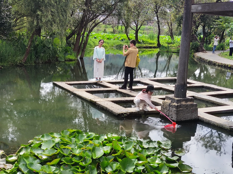 绿水青山引客来: 一座600年古镇的生态实践