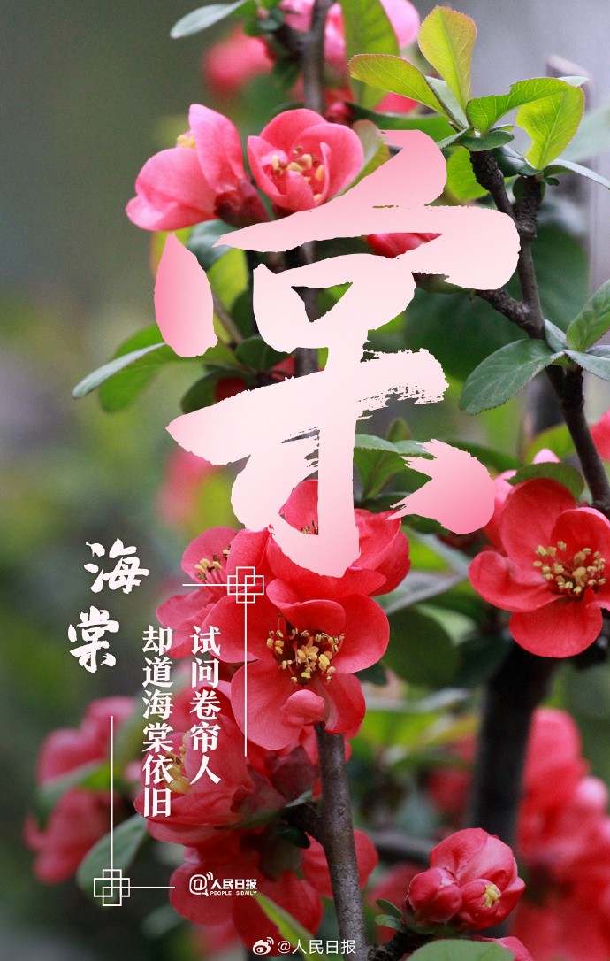 收藏美好！当汉字与春天不期而遇
