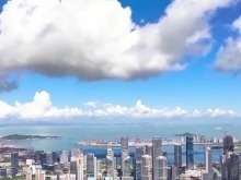 制度创新步伐加快 自贸试验区建设迈上新台阶
