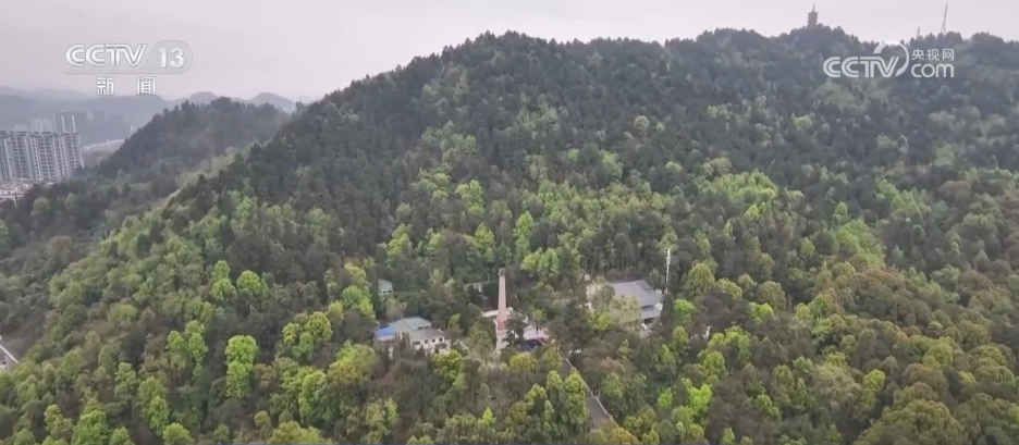 在追思中奋进，在传承中成长！各地积极开展主题文化活动缅怀革命先烈