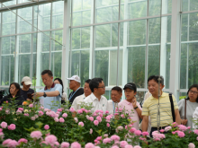 台商话玉溪：高原农业“种草”现场 两岸经贸“致富”密码