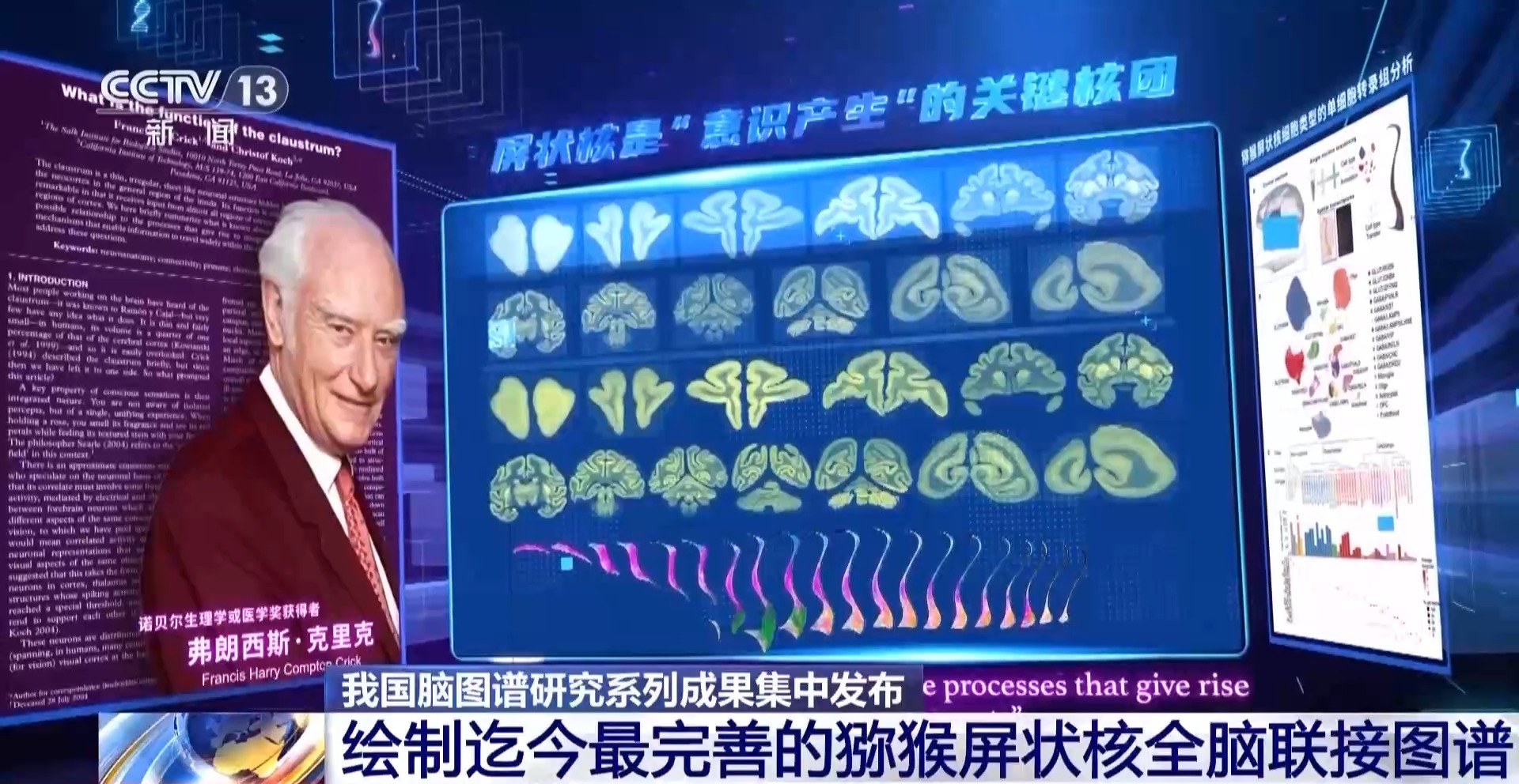 中国脑图谱研究系列成果集中发布 珍贵数据供国内外学者研究