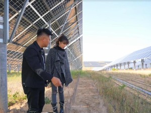 台湾青年带你探寻光伏板下的治沙奥秘