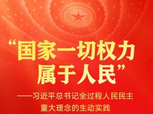 习近平总书记全过程人民民主重大理念的生动实践