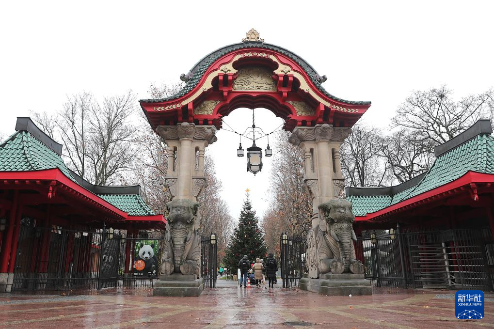 旅德大熊猫双胞胎幼崽定名“梦好”“梦甜” 旅德大熊猫双胞胎幼崽定名“梦好”“梦甜”