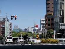 日本2025年电诈损失创历史纪录