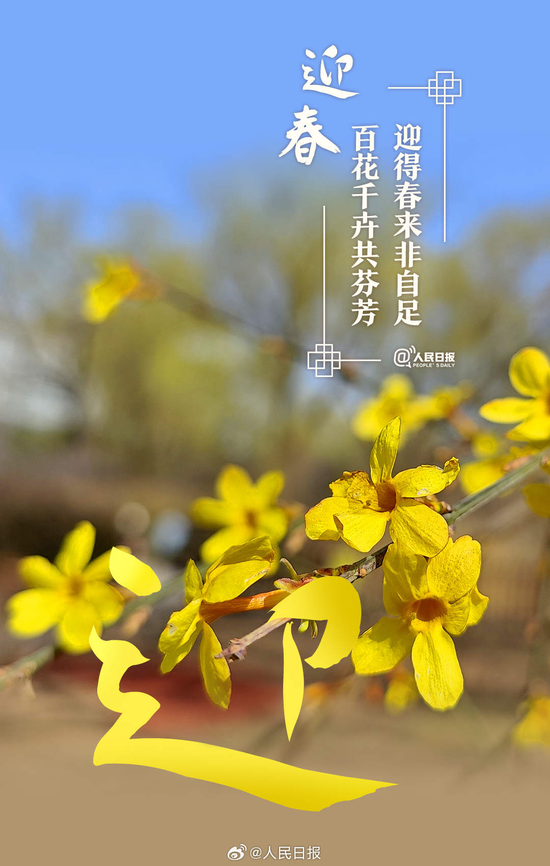 收藏美好！当汉字与春天不期而遇