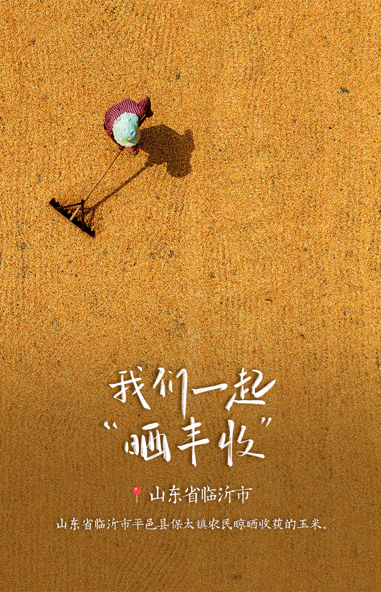 稻花香里说丰年！高清大图邀您共赏华夏“丰”光