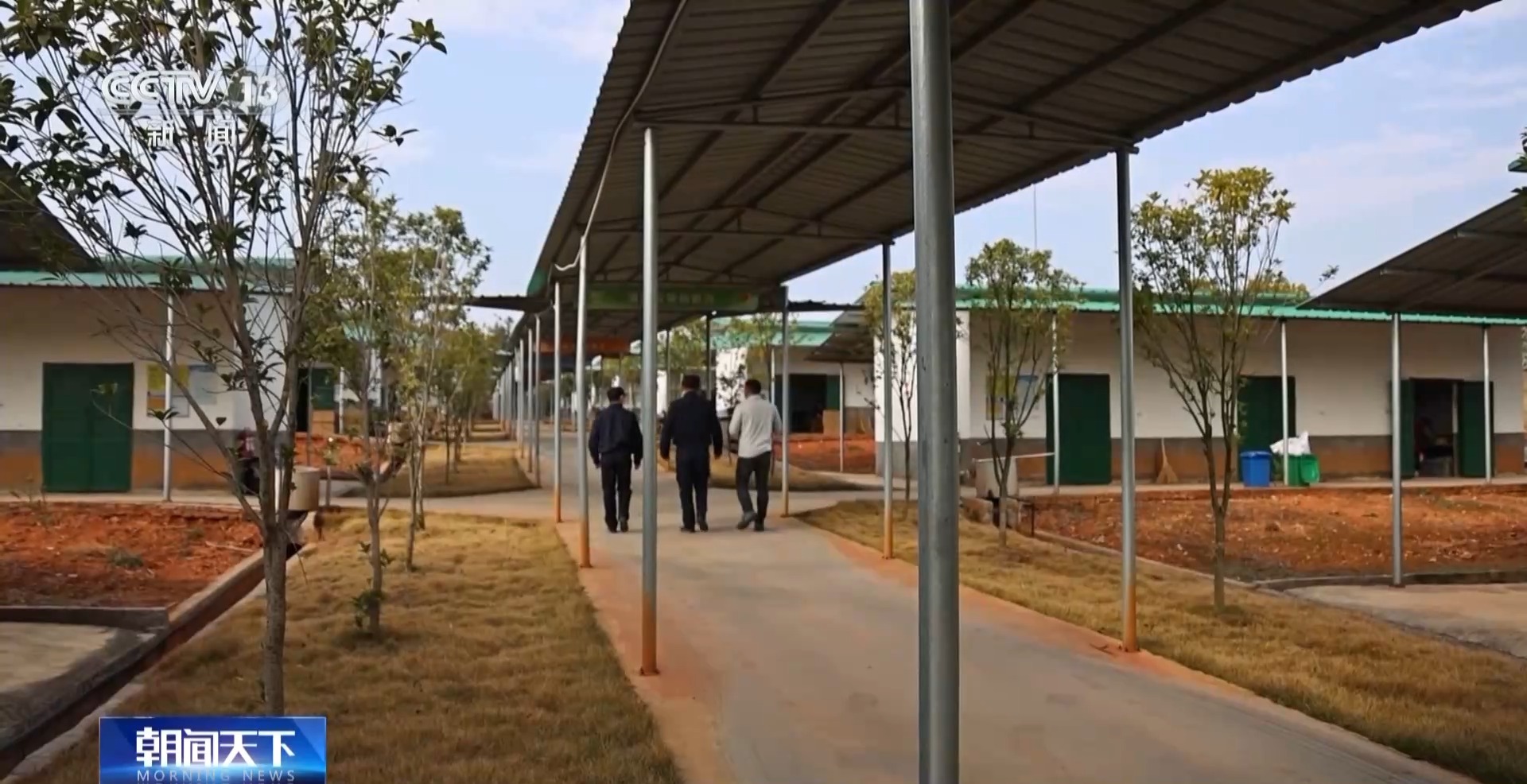 烟花走俏 麻将机大卖……外国人怎么过春节？中国节日“玩法”走向世界