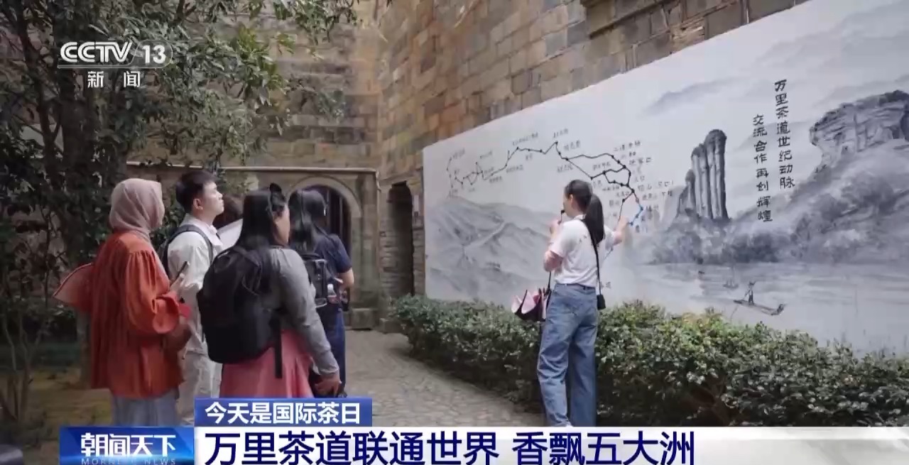 国际茶日来“万里茶道”的起点 赴一场茶香之约