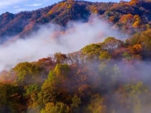 瞰四川｜多彩光雾山
