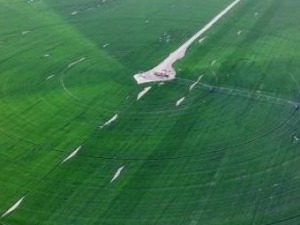 沙地变良田 塔克拉玛干沙漠边缘现“绿色圆盘”_fororder_截图录屏_选择区域_20260413122140