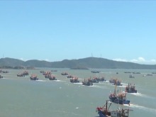 “启航！开船！” 东海开渔 第一批海鲜正在赶往你的餐桌