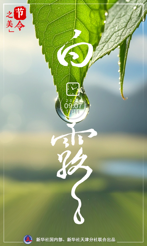 7日11时11分白露：露从今夜白，月是故乡明