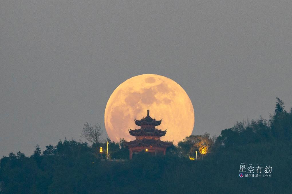 2024年第一轮满月即将上线