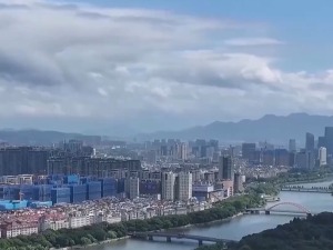 中国外贸活力持续释放 外资企业进出口连续8个季度增长