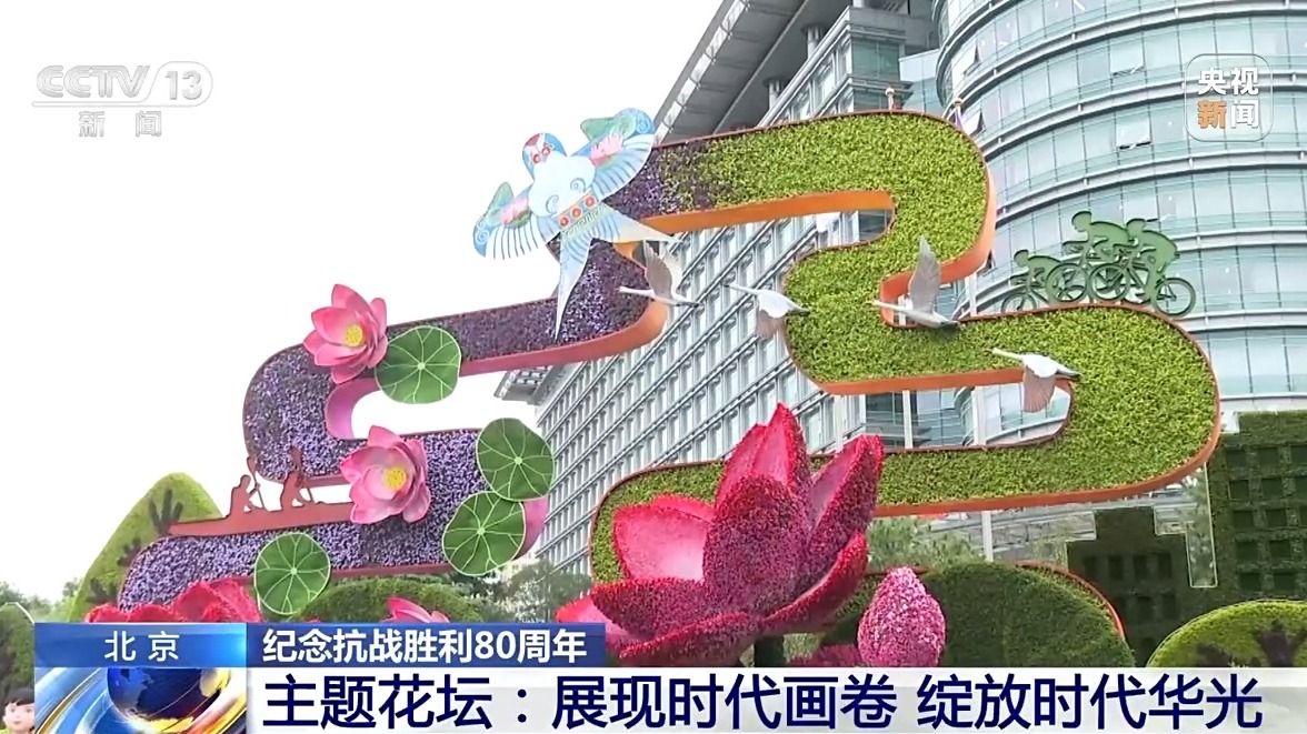 10组主题花坛亮相长安街沿线 纪念抗战胜利80周年
