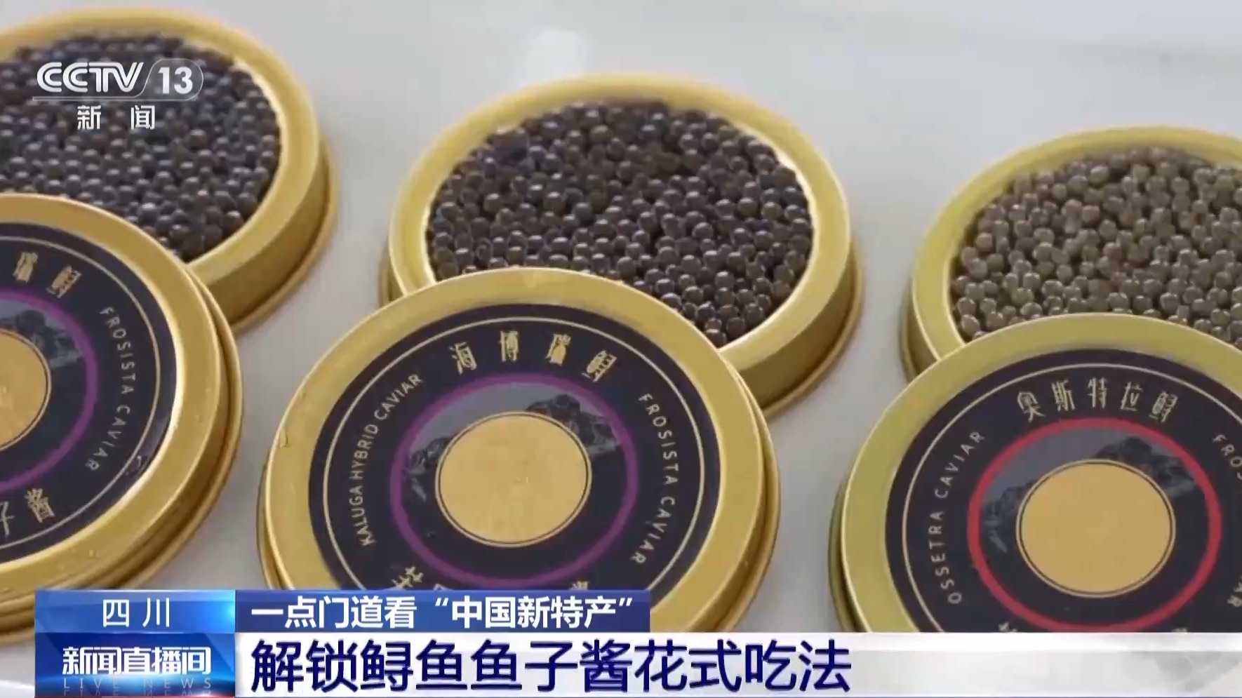 全球14%的鱼子酱产自这里 来看一粒鱼子酱的“环球之旅”