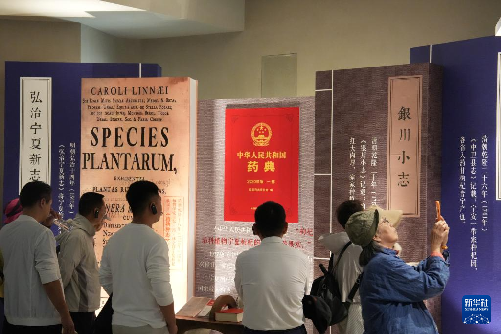 港澳台侨同胞在宁夏感知发展 共叙融合