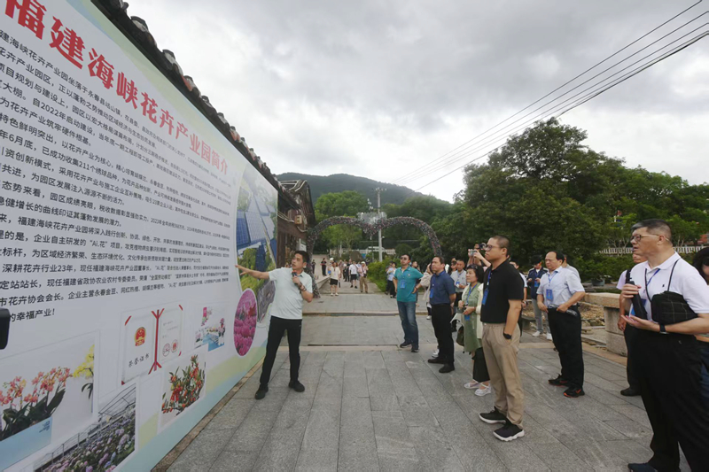 第十七届海峡论坛·两岸特色乡镇交流对接暨和美乡村发展论坛举行