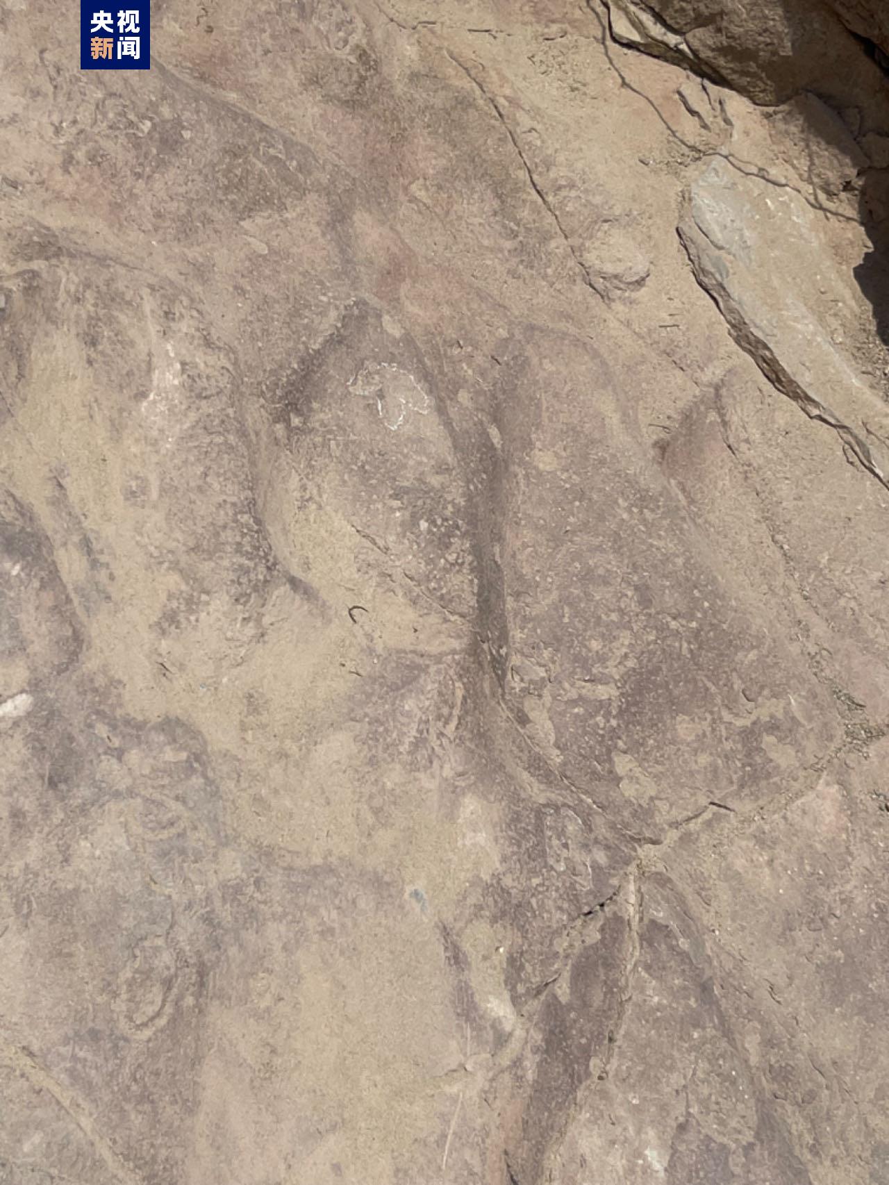 甘肃临夏新发现白垩纪微小型恐龙足迹化石 属中国西北首次 甘肃临夏新发现白垩纪微小型恐龙足迹化石 属中国西北首次