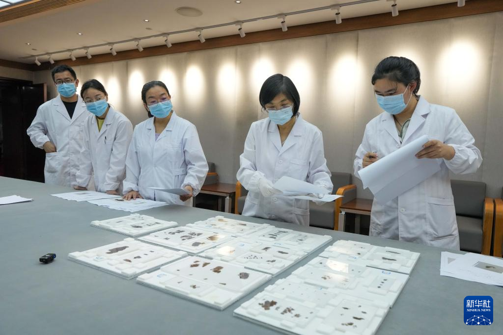 国宝安家！子弹库战国帛书正式入藏湖南省博物馆