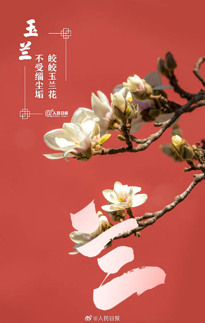 收藏美好！当汉字与春天不期而遇