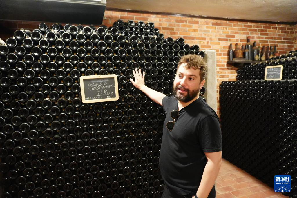 葡萄满枝头 焦虑压心头——探访美关税冲击下的意大利酒庄