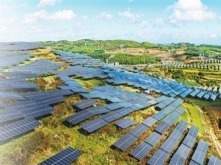 坚持“双碳”引领，推动全面绿色转型