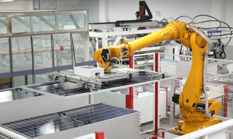 各地以实干实绩推动高质量发展