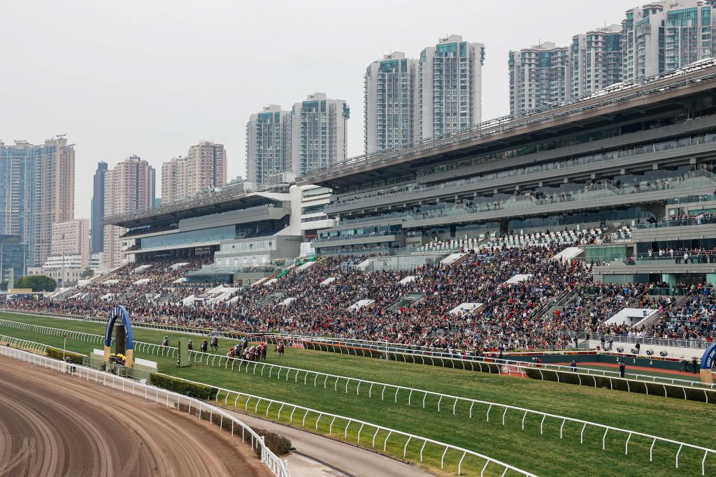香港2025年新年赛马日观众人数创六年来新高