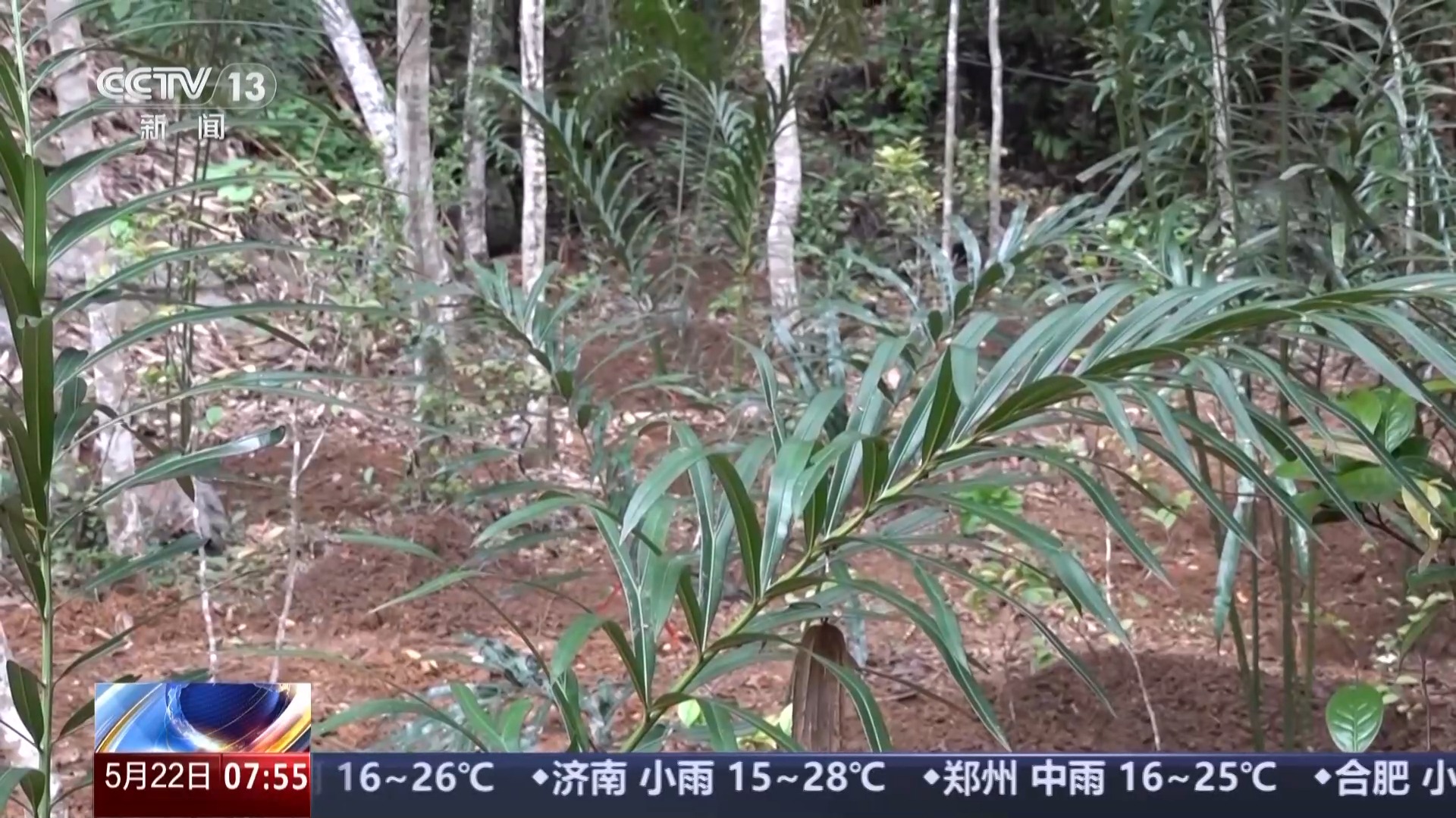 中国生物多样性保护成效如何？这份“成绩单”亮了