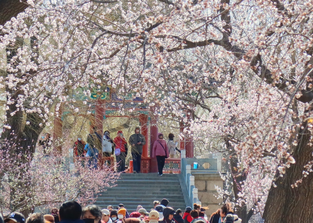 北京：颐和园春色渐浓