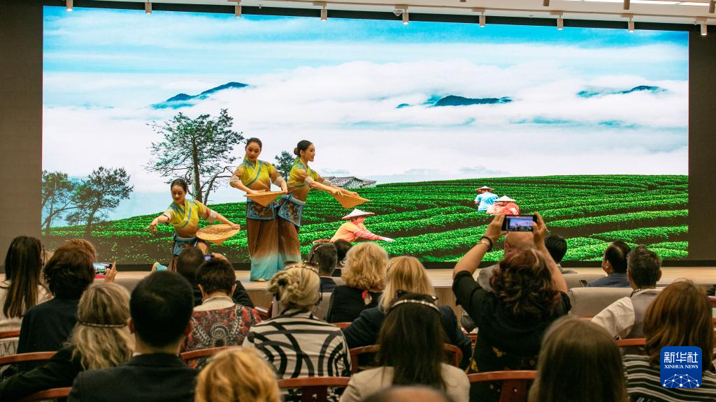 多国民众在“国际茶日”体验中国茶文化
