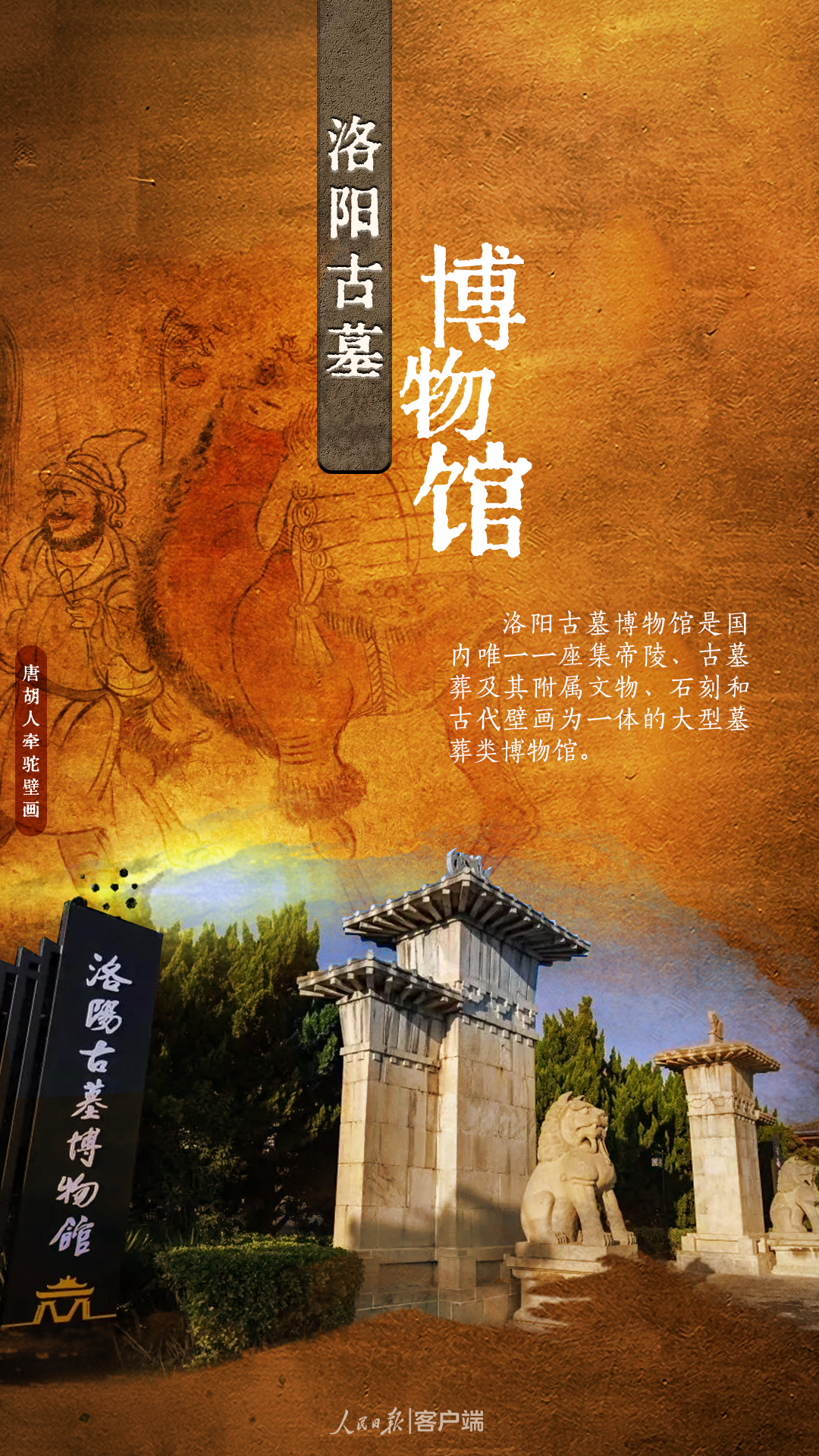 一眼千年！洛阳到底有多少“国家宝藏”